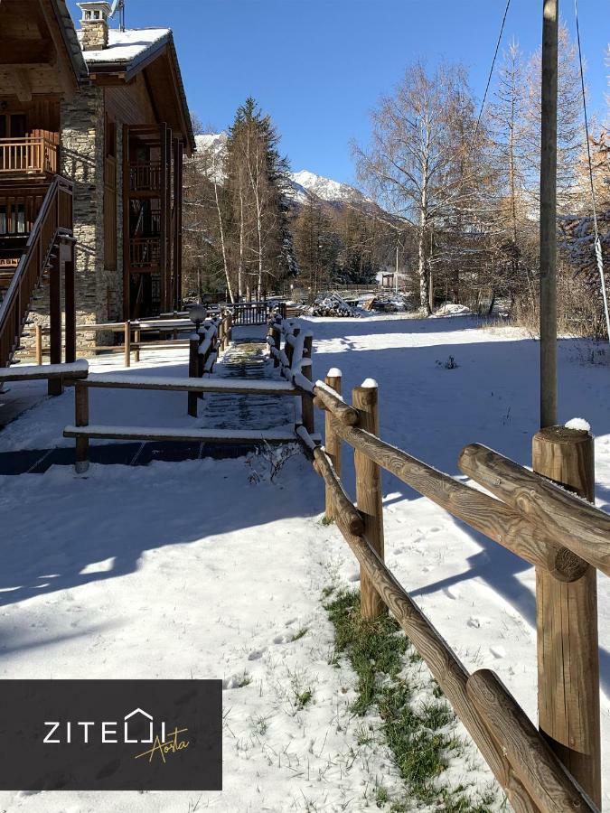 Zitelli Aosta Villa Cogne Eksteriør bilde