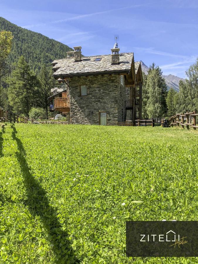 Zitelli Aosta Villa Cogne Eksteriør bilde